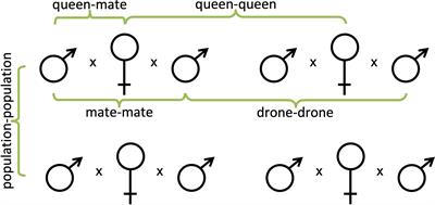 Frontiers | Meta-analysis of genetic diversity and intercolony